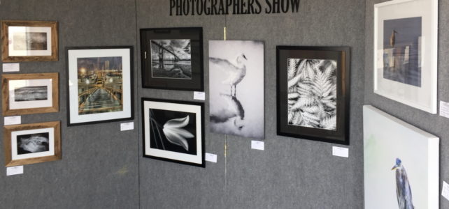 The 38th Yaquina Art Association Photographers Annual Show